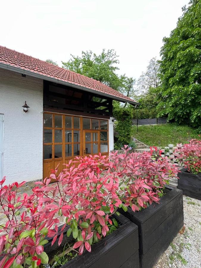Cesargradska klet Lägenhet Tuhelj Exteriör bild