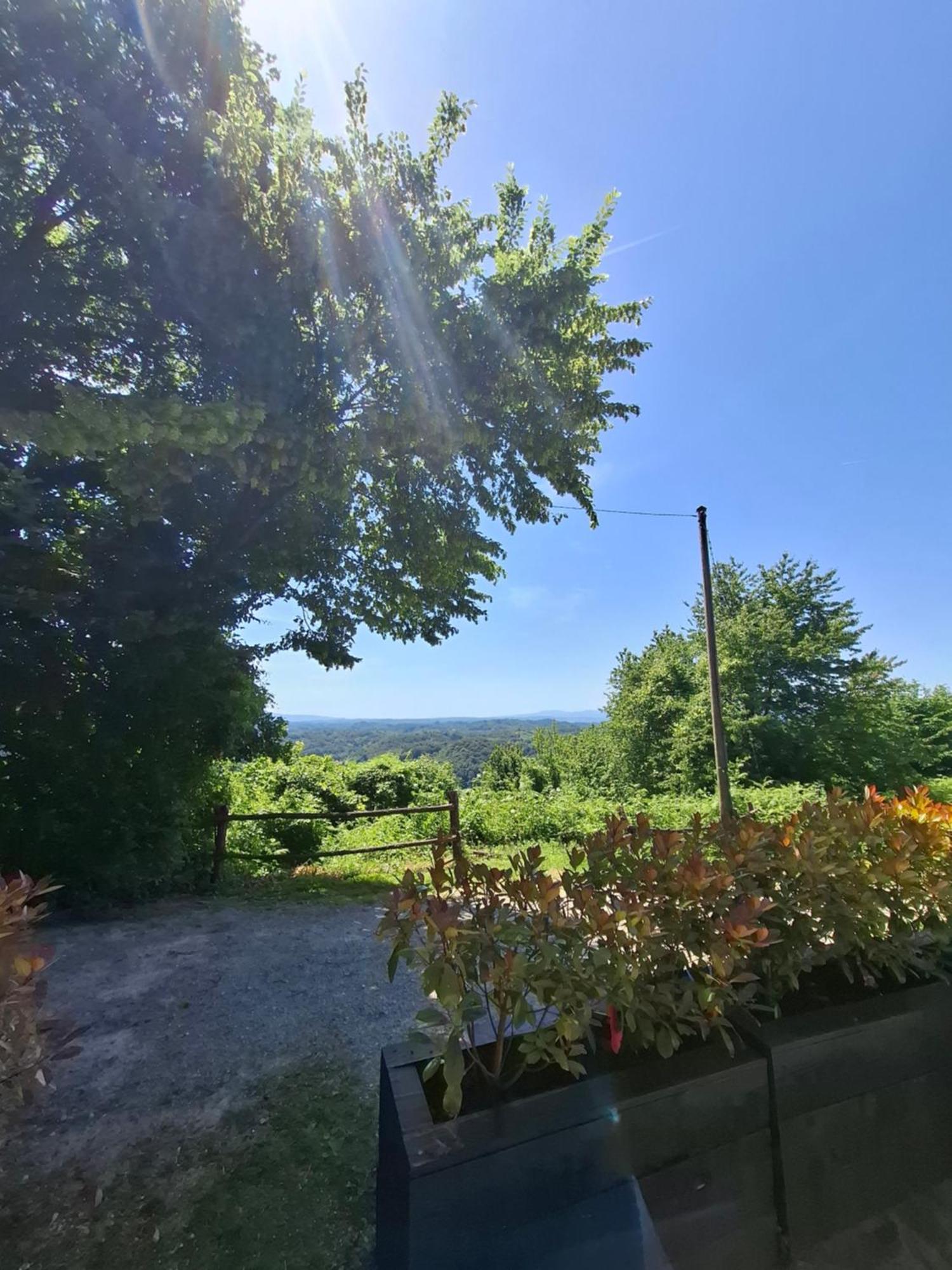 Cesargradska klet Lägenhet Tuhelj Exteriör bild